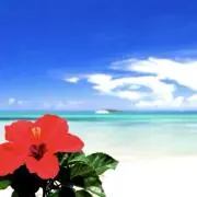 海の画像
