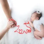 もっちの画像