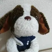 yukiの画像