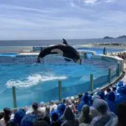 ガクの画像
