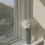 オムの画像