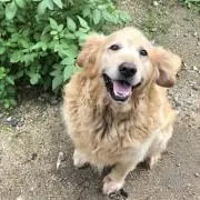 ジャスくんの画像