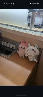 かにんが