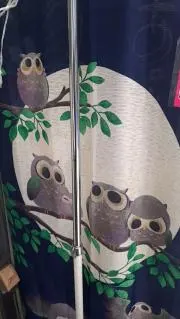 パンダの画像