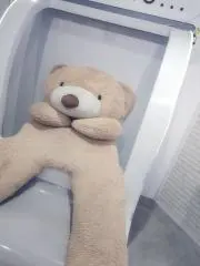 らんの画像