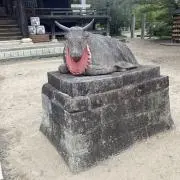 よよよの画像