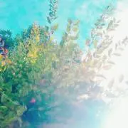 ✩*⋆かよぉ⋆*✩の画像
