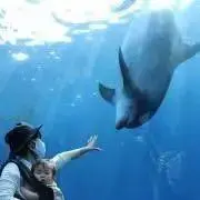 あやかの画像