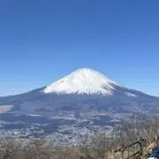 ライナスの画像