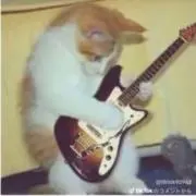ゆうとの画像