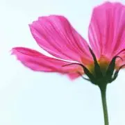 なお