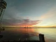 ポクちんの画像