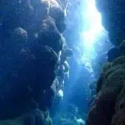 りんりんの画像