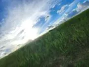Mの画像