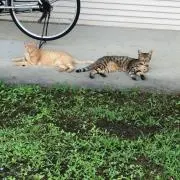 こんちばちゃん