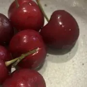 ss.