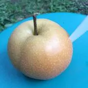 YAMATO