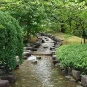 らくがき