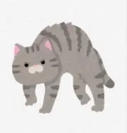 ✽toki✽　購入前にプロフ確認の画像