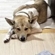 emの画像