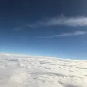 三匹の子豚の画像