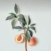 Yu.の画像