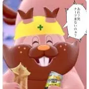 デブリス