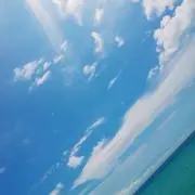 あんころ餅の画像