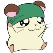 さちゃの画像