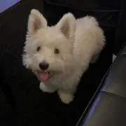 なの画像