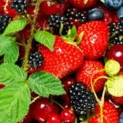 Berryの画像