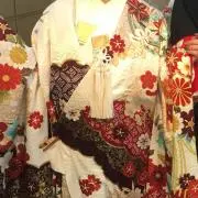 こにひか