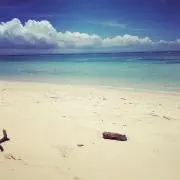 のはら