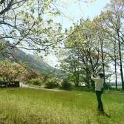 hillbilly_Mの画像
