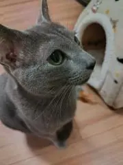 るなの画像