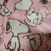 naの画像