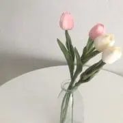ypypshopの画像