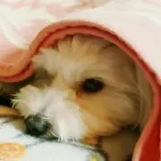 さぁちゃん‪☺︎
