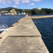 たろ。の画像