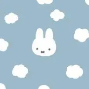 瑠璃の画像