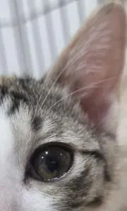 ね プロフ確認してねの画像