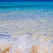 ☺︎SEA☺︎の画像