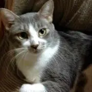《プロフ必読》ミィ0331