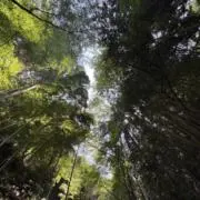 daisuの画像