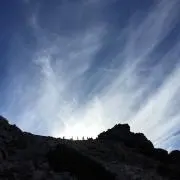 bazの画像