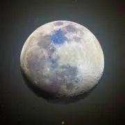ursusの画像