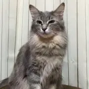 ヒロ