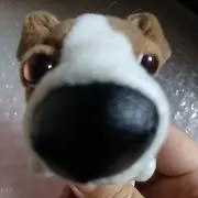 さいちゃん