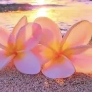 R✩.*˚即日発送！値下げ交渉大歓迎！の画像