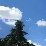 わかわか〜プロフィール読んでくださいの画像